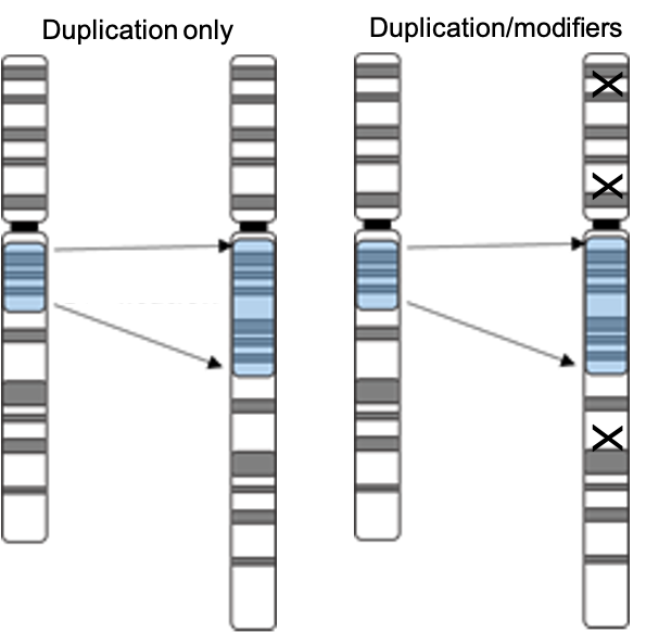 Research | Dr. Ryan Yuen Lab | SickKids